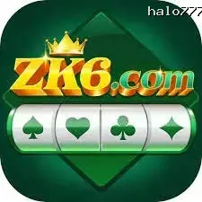 Ikon zk6
